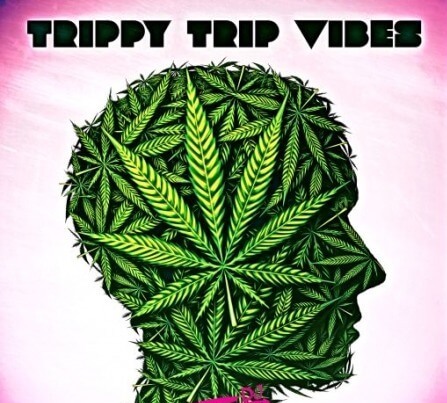 DJ 1Truth Trippy Trip Vibes WAV